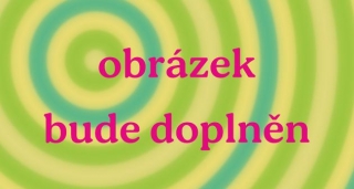 Drobné dřevěné výřezy - KOLEČKO 1,6 cm - 50 ks